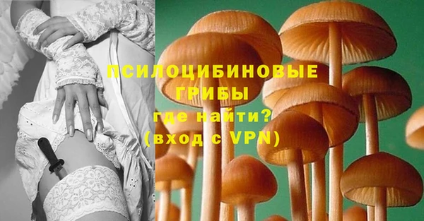 прущая мука Горняк