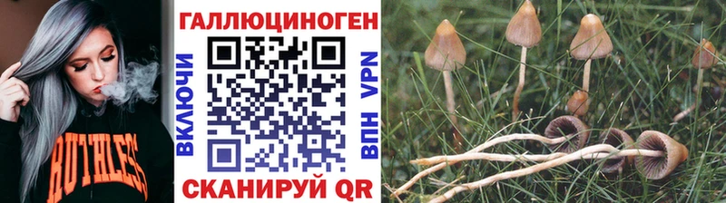 Галлюциногенные грибы мухоморы  как найти наркотики  Гусиноозёрск 